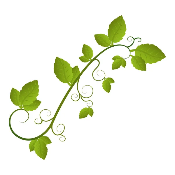 Árbol planta silueta icono — Vector de stock