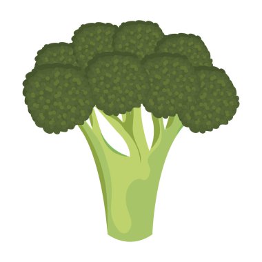 Sağlıklı ve lezzetli organik sebze