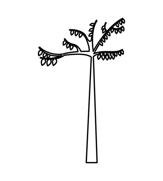 Träd växt siluett isolerade ikonen — Stock vektor