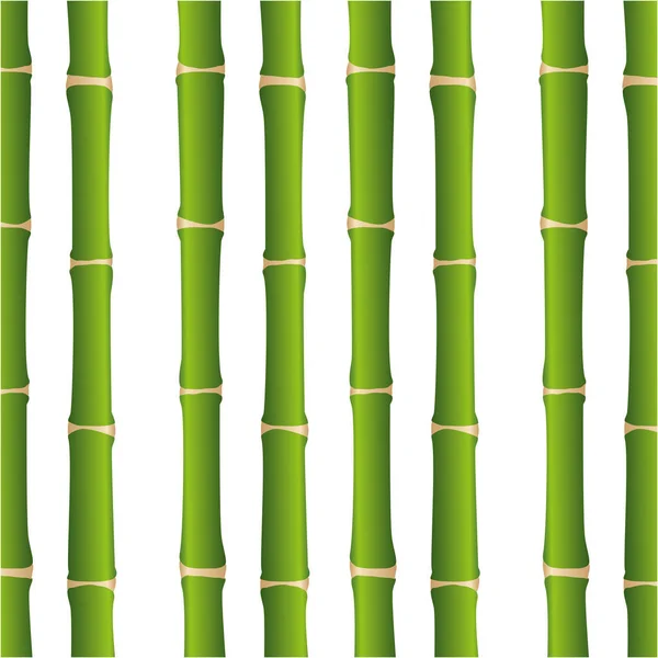 Bamboo plant isolated icon — Stock Vector
