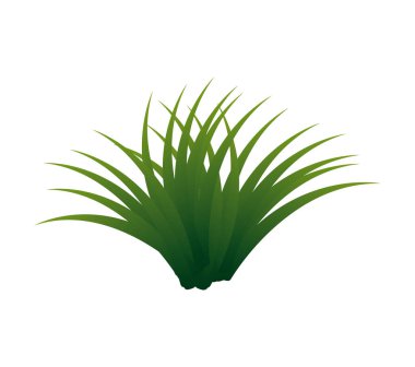 çim bitki izole simgesi