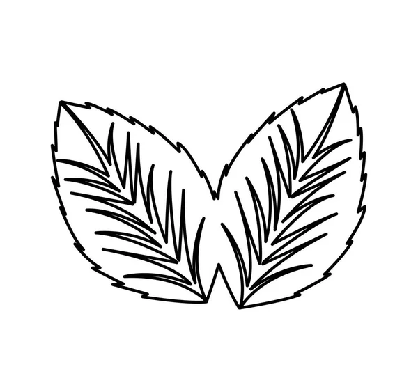 Feuilles plante spa isolé icône — Image vectorielle