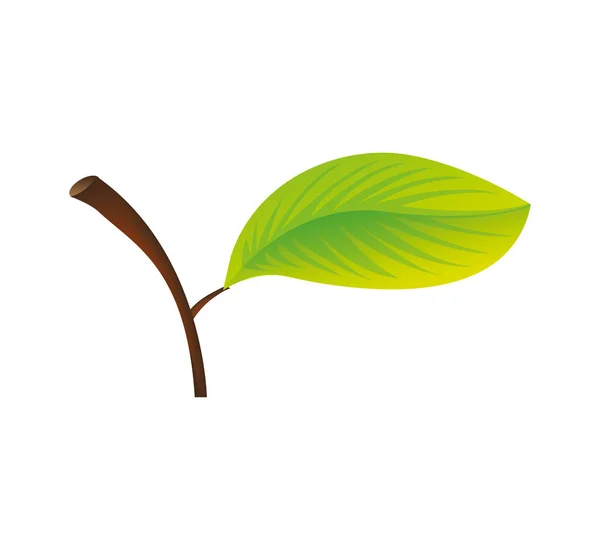 Значок силует листя рослини — стоковий вектор