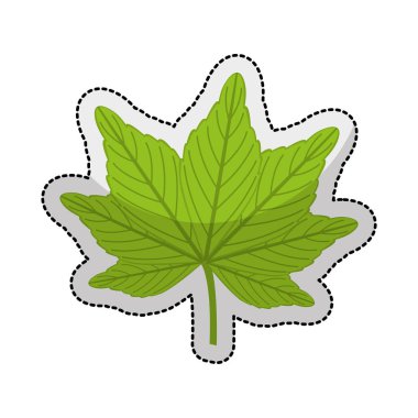 bitki izole simgesi yapraklar