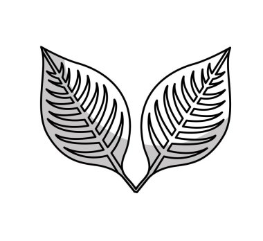 bitki izole simgesi yapraklar