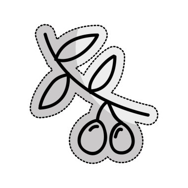 Zeytin bitki izole simgesi