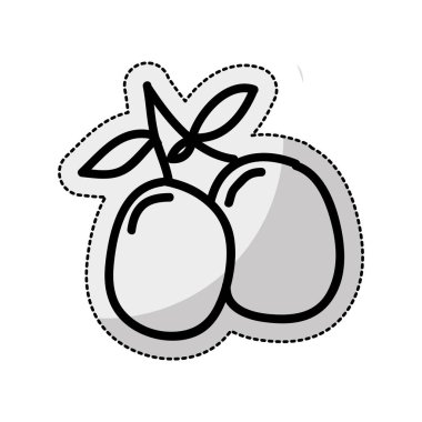 Zeytin bitki izole simgesi