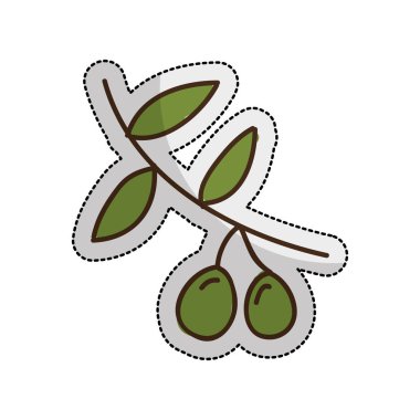 Zeytin bitki izole simgesi