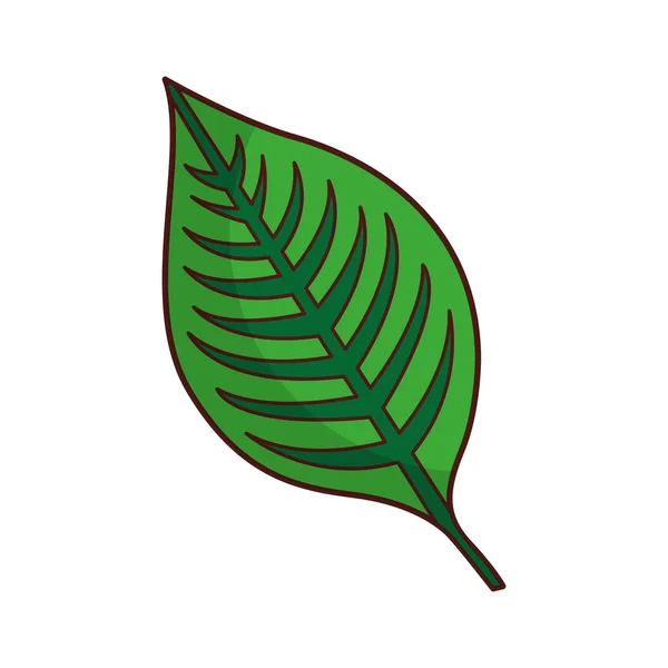 Planta hojas aislado icono — Vector de stock