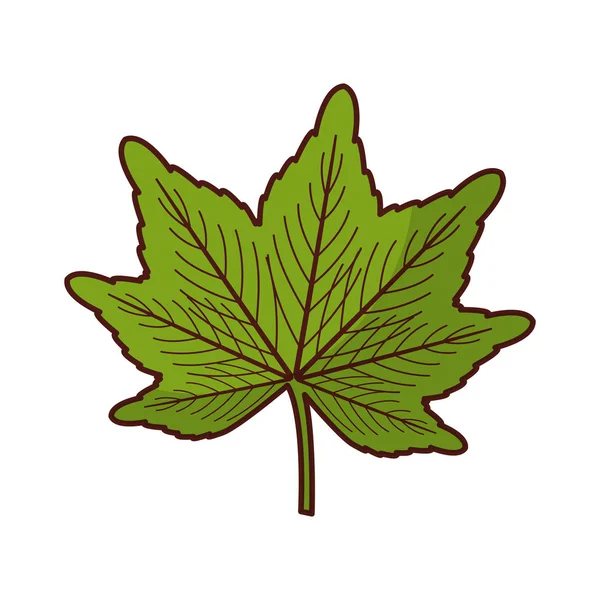 bitki izole simgesi yapraklar