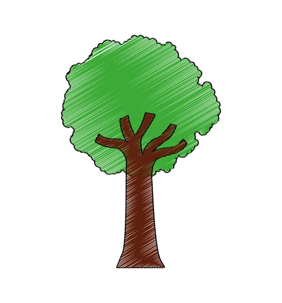 Silueta de planta de árbol aislado icono — Vector de stock