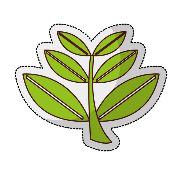 Planta hojas aislado icono — Vector de stock