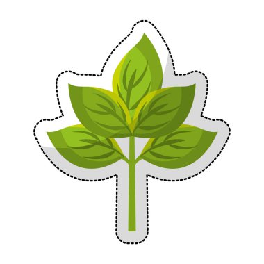 bitki izole simgesi yapraklar