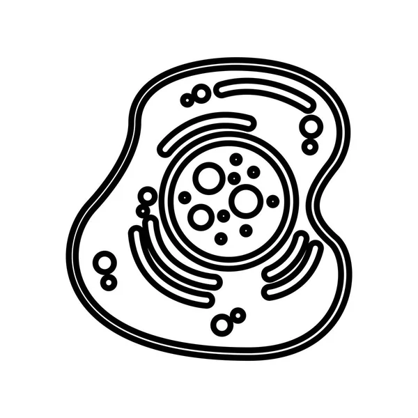 Estructura celular icono aislado — Archivo Imágenes Vectoriales