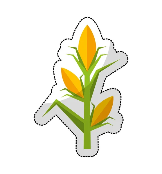 Maïs planten geïsoleerd pictogram — Stockvector