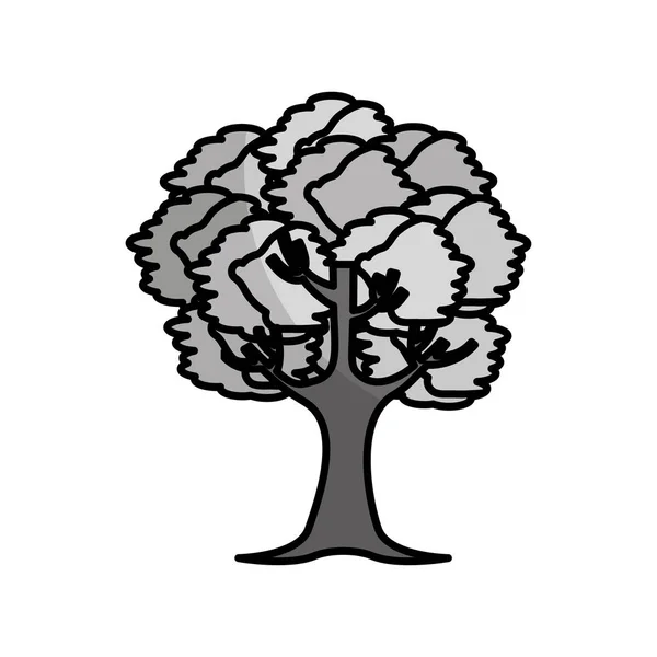 Árvore planta ícone isolado —  Vetores de Stock