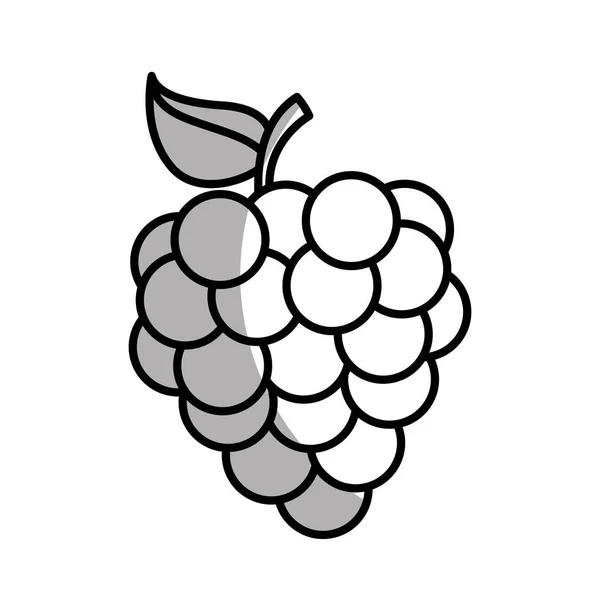 Icono de la fruta fresca uvas — Archivo Imágenes Vectoriales