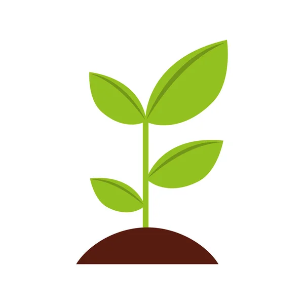 Plant ecology geïsoleerde pictogram — Stockvector