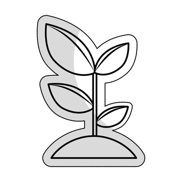 Növényi ökológia elszigetelt ikon — Stock Vector