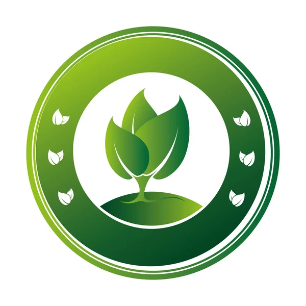 Leafs plant ecology icon — Stock Vector
