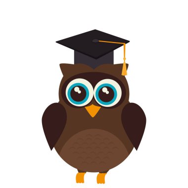 baykuş şapka mezuniyet ile