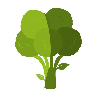 taze sebze izole simgesi