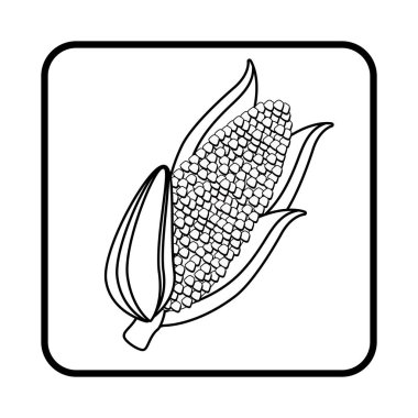 taze sebze izole simgesi