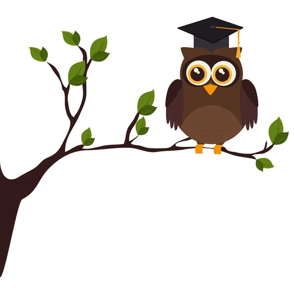 Owl with hat graduation — Stock Vector
