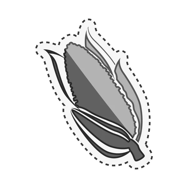 Čerstvý zeleninový izolované ikona — Stockový vektor