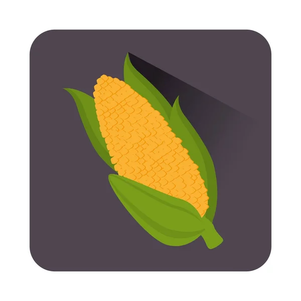 Légume frais icône isolée — Image vectorielle