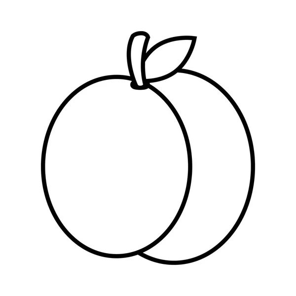 Vers fruit geïsoleerde pictogram — Stockvector
