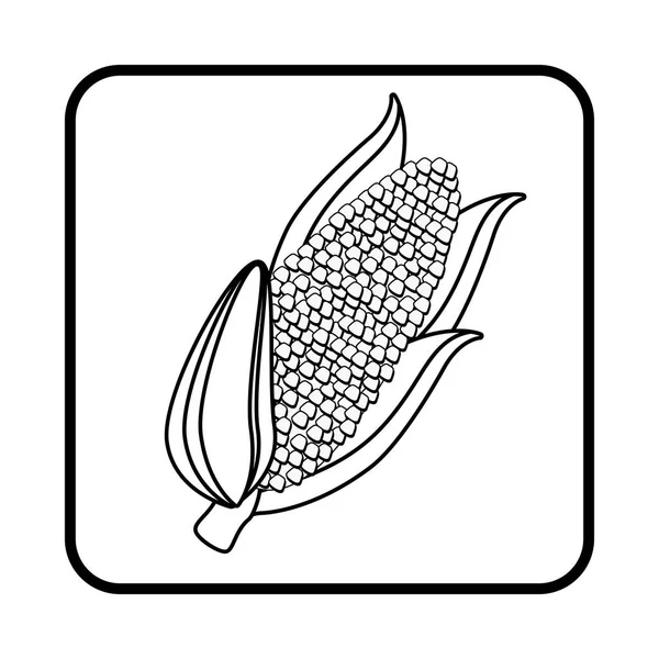 Légume frais icône isolée — Image vectorielle