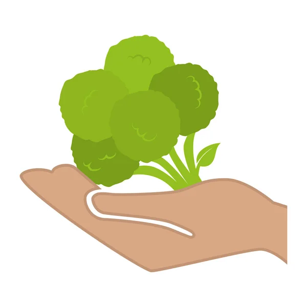 Mano umana con icona fresca verdura isolata — Vettoriale Stock