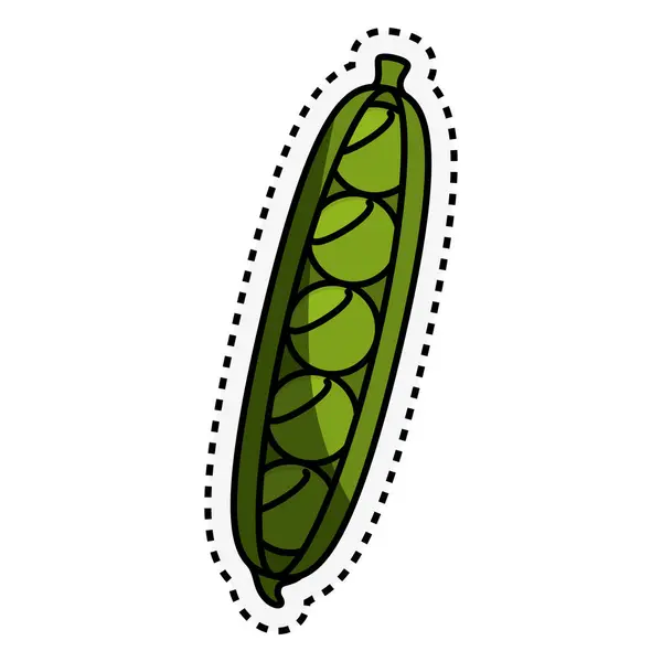 Kesme satırı izole simgesi ile taze sebze — Stok Vektör