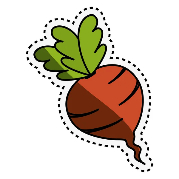 Свіжий овоч з вирізаною лінією ізольована іконка — стоковий вектор