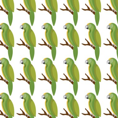 sevimli papağan izole simgesi