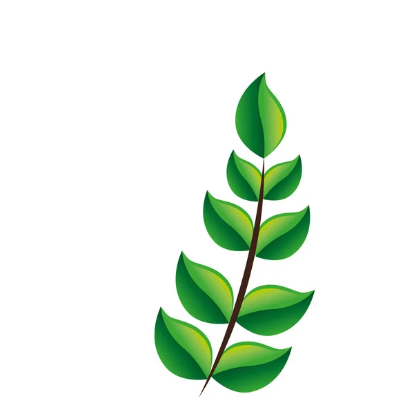 葉植物生態アイコン — ストックベクタ