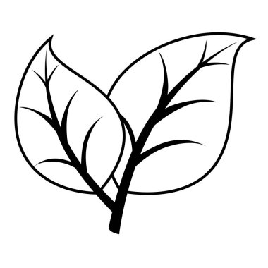 bitki ekoloji simgesi yapraklar