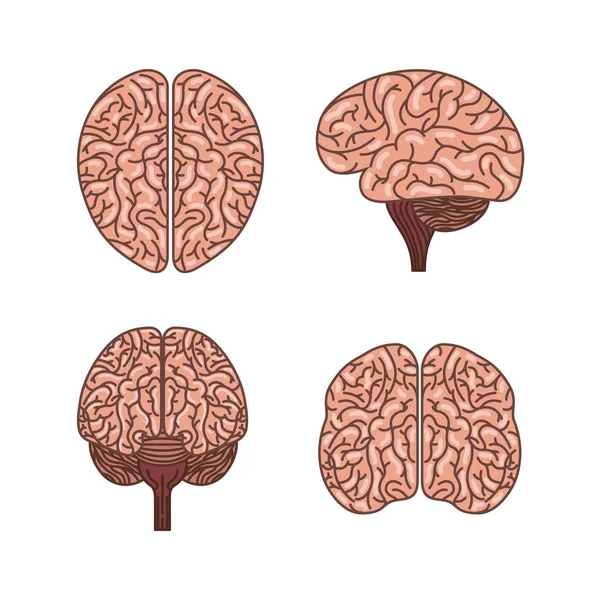 Menneskelig hjerneikon – stockvektor