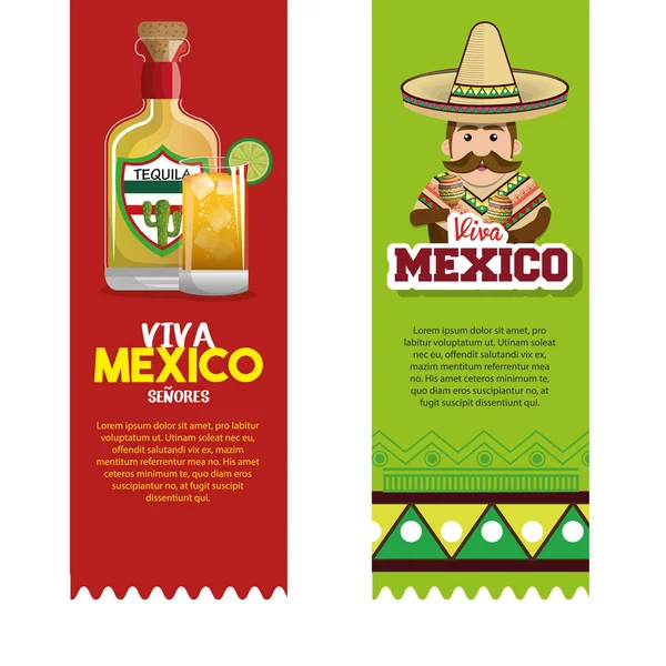 Viva mexico poster celebration — Stock Vector