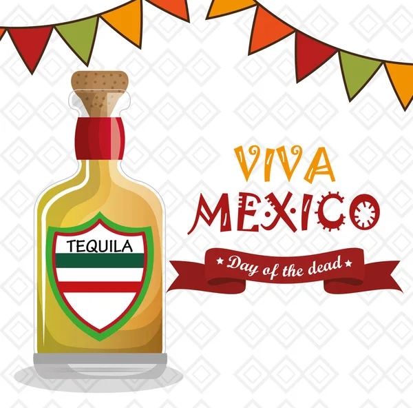 Viva celebración del cartel de México — Vector de stock
