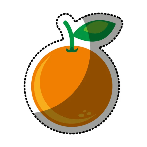 Orange fresh fruit drawing icon — Stock Vector