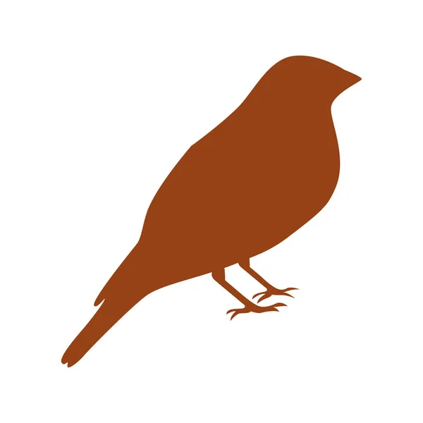 Симпатичная птица — стоковый вектор