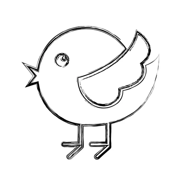 Cute bird isolated icon — Stock Vector