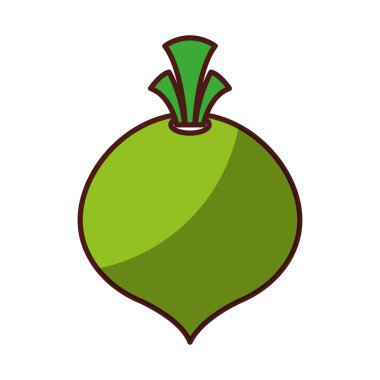 Soğan taze sebze izole ikonu