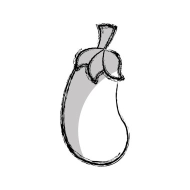 pancar taze sebze izole simgesi