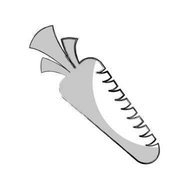 Havuç taze sebze izole edilmiş ikon