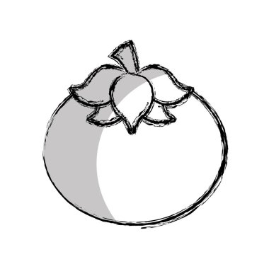 domates taze sebze izole simgesi