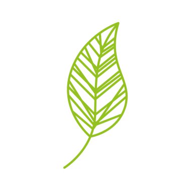 leaf drawing isolated icon clipart