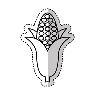 Mısır sebze izole simgesi